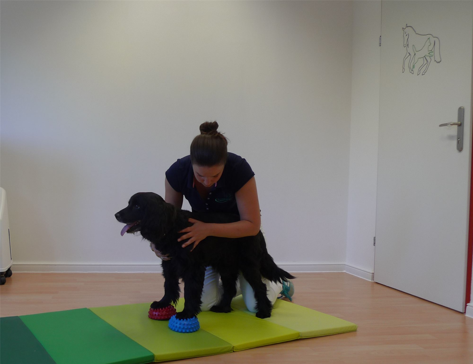 Gleichgewichtstraining mit einem Hund in der Ordination